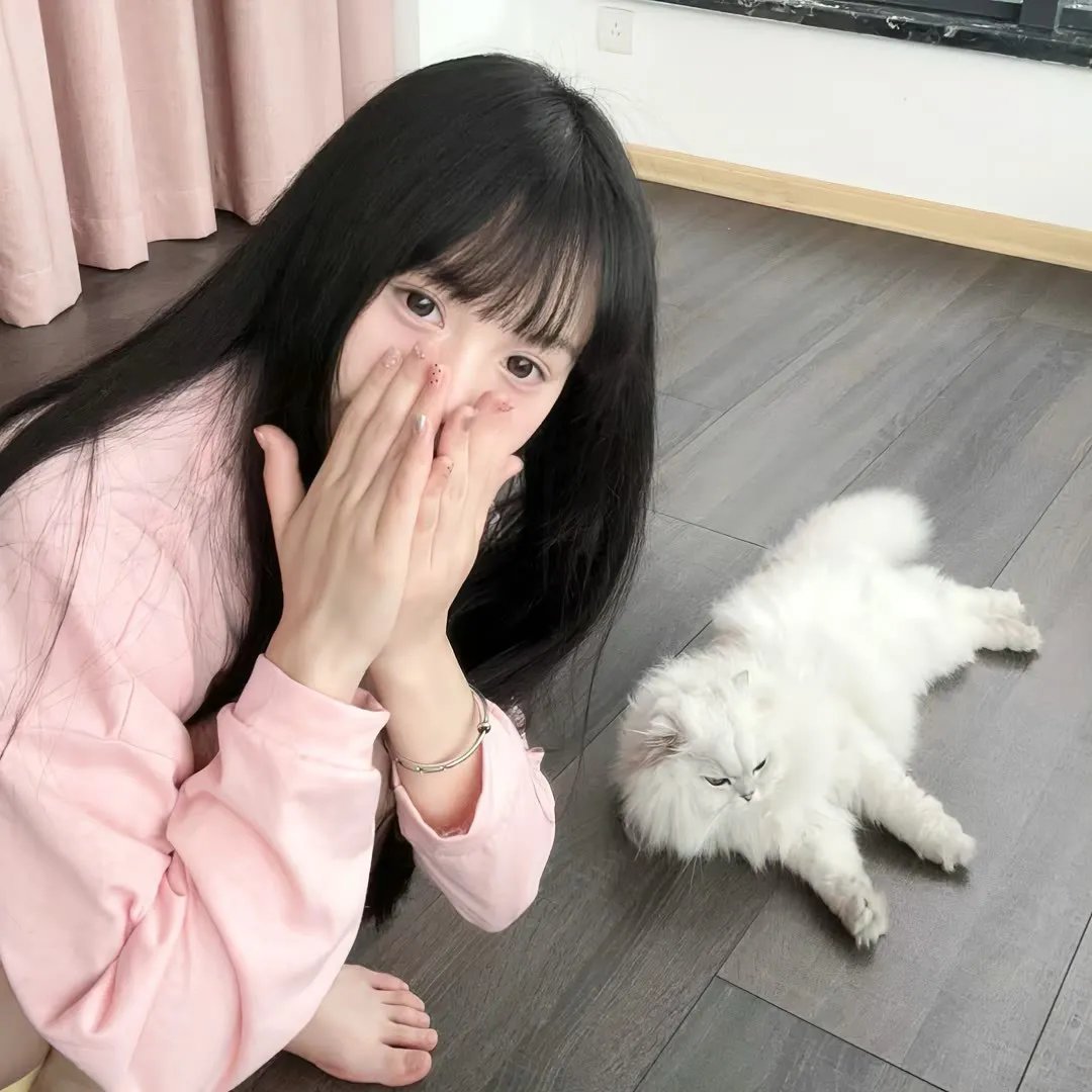 又见稻乡 海报